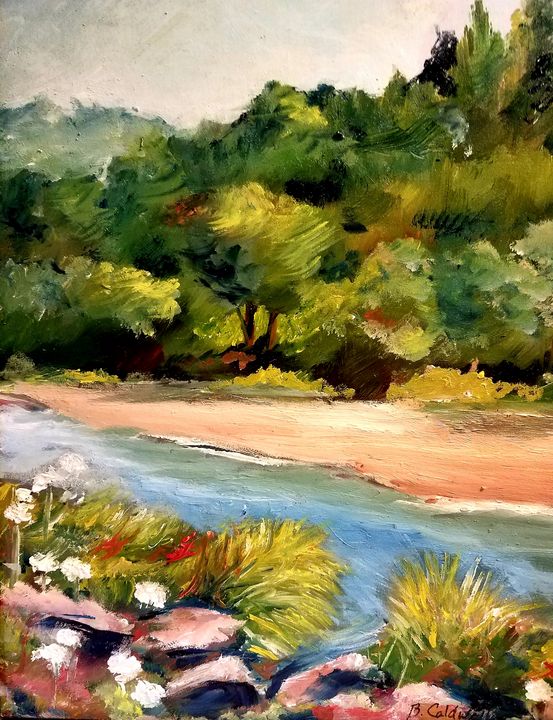 🌿Creekside Meadow Guided Meditation