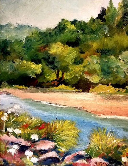 🌿Creekside Meadow Guided Meditation